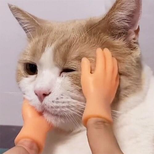 Silicone Little Finger Gloves Funny Cat Massage Tool Left Right Hand Model Tiny Hands Cat Toy Finger Gloves Kitten Pet Toy