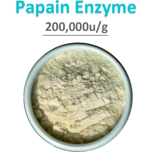 Natural Powder Extract of Papaya Fruit Papain Enzyme 200,000u/g Protein Digestive Enzyme
