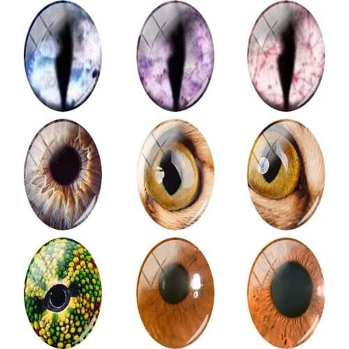 JWEIJIAO Pupil Eye Pattern Glass Cabochon Dome Oval Shaped Photo 18x25mm 5pcs/lot Handmade DIY Fashion Jewelry Accessories EY325