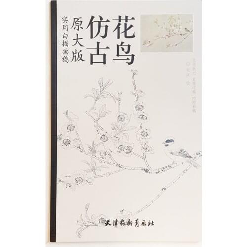 12Pcs Coloring Papers 8K Size Chinese Antique Flowers and Birds Coloring Paintings Art Book (48x41cm/19.2x16.1In)
