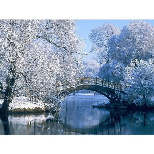 5D DIY Diamond Painting Landscape Full RoundSquare Picture Of Rhinestone Home Decor Winter Rime Mosaic Diamond Embroidery Bridge