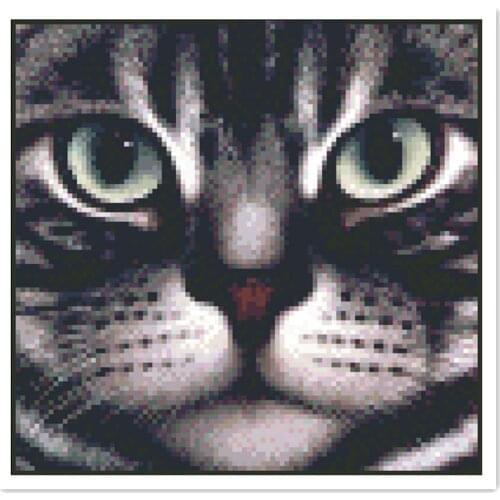 American Shorthair cross stitch kit animal 18ct 14ct 11ct white canvas fabric cotton thread embroidery DIY handmade needlework