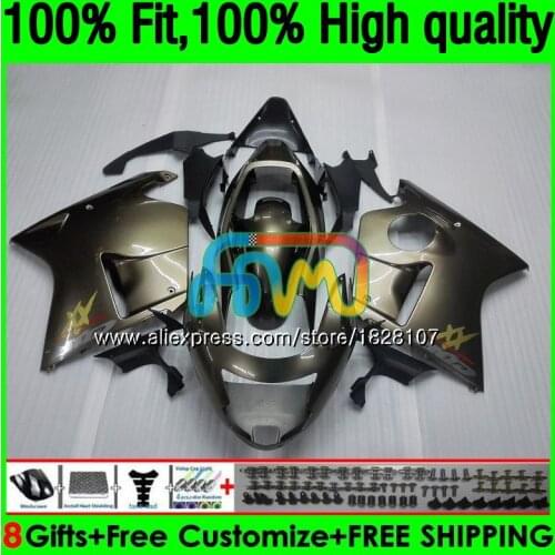 Blackbird For HONDA CBR1100 XX CBR1100XX 96 97 98 99 00 01 131BS.14 CBR 1100XX 1996 1997 ALL Titanium1998 1999 2000 2001 Fairing