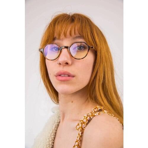 Vintage Oval Womens Leopard Paula Leopard Blue Light Goggles 2021 New Season Different Model Fashion Trend Ladies Glasses