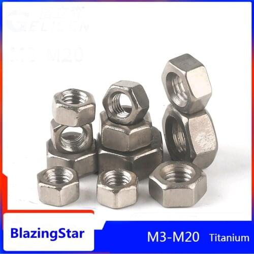 1-5PCS TA2 Pure Titanium Hexagon Nut Bolt M3 M4 M5 M6 M8 M10 M12 M14 M16 M18 M20 Lathe Chuck Fastener Marine Hardware NUTS
