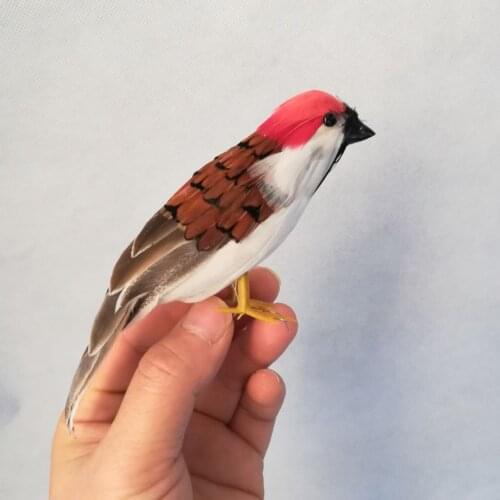 Real life toy bird feathers bird about 15 cm vivid Passer domesticus bird model handicraft garden Decoration props h0938