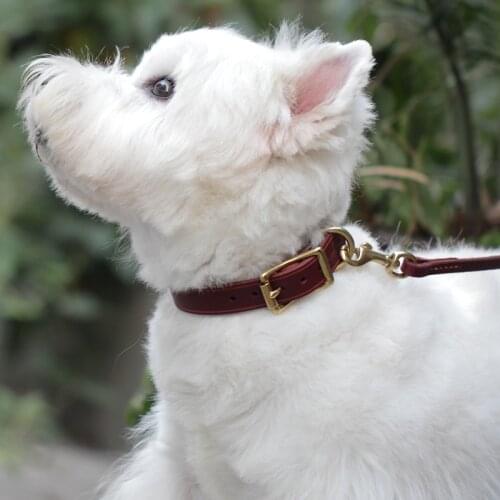 Handmade Oiled Leather Dog Collar Natural Plant Dyeing Collar for Dog Puppies Cats Retro Environmental Supplies Pet Products