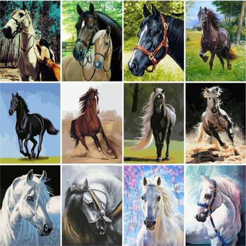 HUACAN Painting By Numbers Horse DIY Hand Painted Picture By Numbers Animals Gift Home Decoration Wall Art