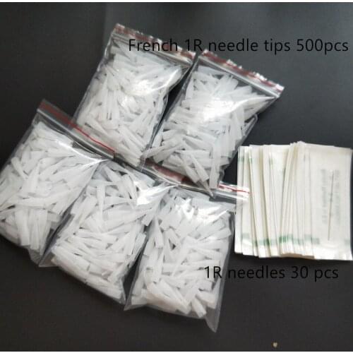 500pcs 1R Small Size Needle Tips Permament Makeup Gaintsun Long Nipple Nozzle Caps with 30pcs 1R Needles as a Gift