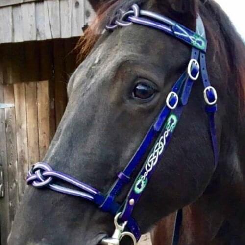 Detachable Horse Bridle PU Protective Head Collar Training Match Horse Halter Control Direction Rein Belt Equestrian Accessories