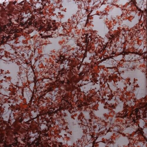 Digital Printed Silk Crepe De Chine Fabric For High Quality Silk DRESS