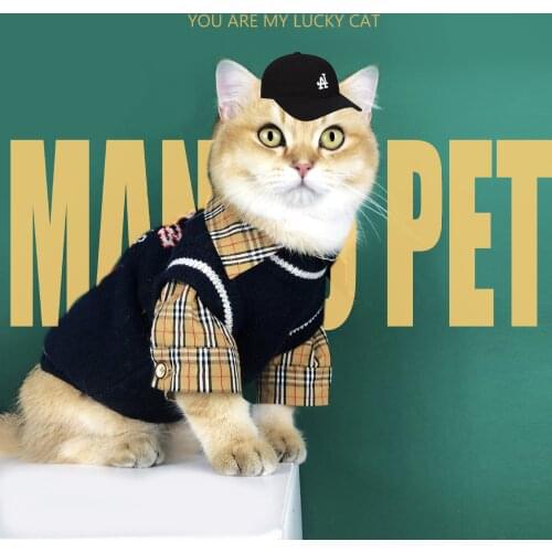 Cat Clothes Autumn And Winter Clothing Cute Pet Dog Sweater Vest Pet Clothes Chihuahua French Bulldog Pug Thickening Warmth