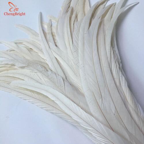 ChengBright Wholesale 50PCS 30-35CM New Beige Rooster tail Feathers For Decoration Craft Feather Christma Diy Pheasant Feather