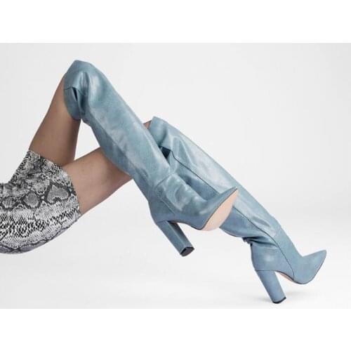 Dipsloot Woman Blue Black Brown Small Snake Skin Knee High Pleated Boots Pointed 11 CM Chunky Heels Slip On Tube Long Boots