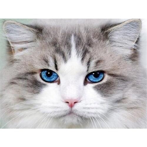 Cat Animal Printed 11CT Cross-Stitch DIY Embroidery Kit DMC Threads Painting Sewing Hobby Handicraft Stamped Jewelry