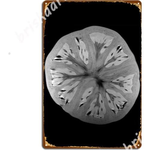 Tomato Metal Signs Wall Decor Cinema Funny Club Tin sign Posters