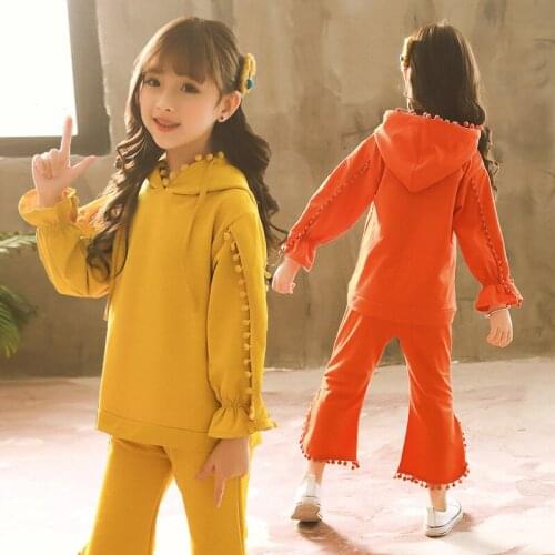 2018 new spring autumn/winter/summer Girls Kids Boys Lace Hooded Two-piece suit comfortable cute baby Clothes Children Clothing