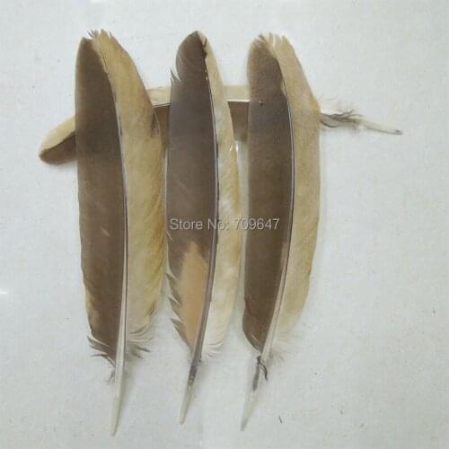 Fly Tying Materials!20Pcs/Lot!12-14inches 30-35cm Long Rare Feathers DIY Fletching Indian Headdress,Plumas Decoration