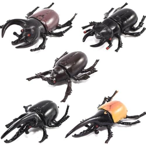 6 pcs/set Beetle Figure Collectible Toys Simulation Insect Animal Action Figures Kids Toy