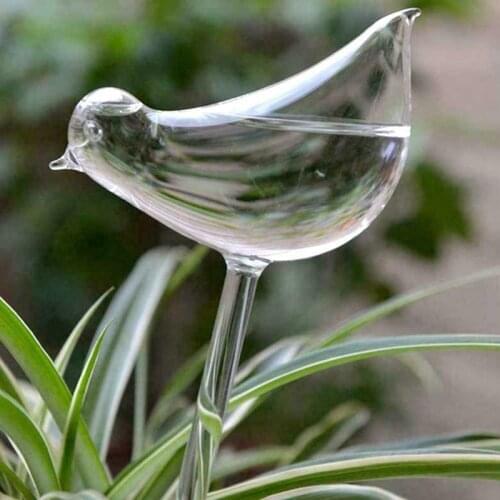 Automatic Flower Watering Device Plant Waterer Self Watering Globes Bird Shape Hand Blown Clear Glass Aqua Bulbs