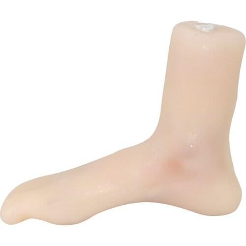 Arthroscopy training model Ankle joint model is soft and can be bent