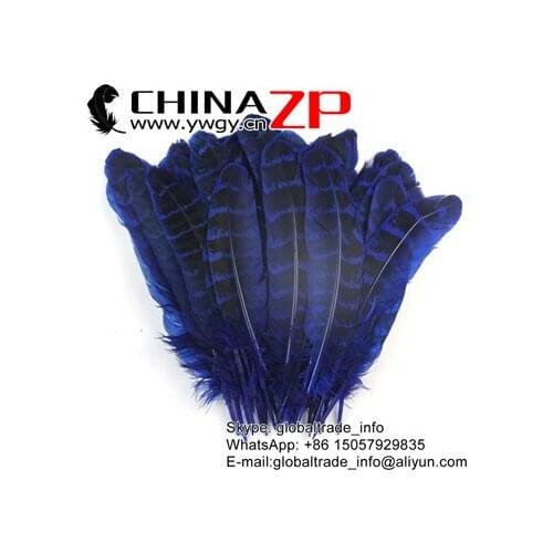 CHINAZP Factory 100pcs/lot Hand Secect Dyed Royal Blue Ringneck Hen Pheasant Round Quill Wing Feathers for Home Decor