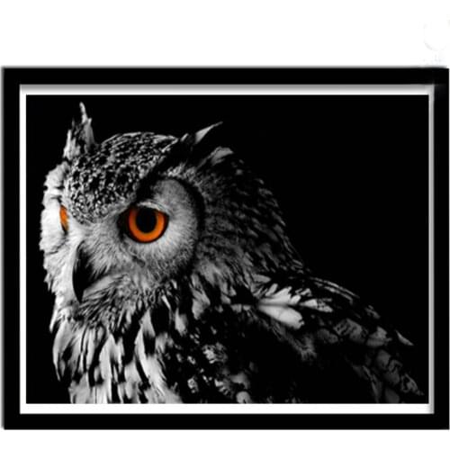 Black white owl 5d diy diamond painting full drill animal diamond embroidery sale diamond mosaic home decor go