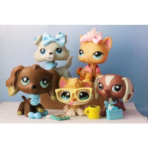 Cartoon Animals 5PCS Short Hair Cat Dachshund Collie Husky Action Figure With Accessories Childrens Best Gift