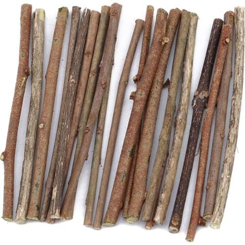 20pcs/set Original Natural Wood Log Sticks For DIY Crafts Photo Props Wood Color DIY Hand Painting Photography Props