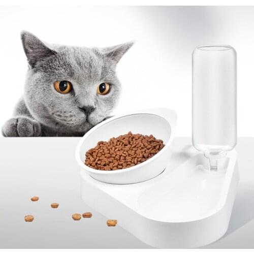 Legendog Pet Food Bowl Elevated Spill Proof Cat Water Bowl Puppy Bowl With Stand Bottle Pet Feeder Cat Water Dispenser Dog Bowl
