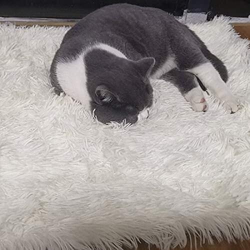 Pets Sleeping Mat Dual-Use Plush Fluffy Warm Mattress Cushion Pad for Dogs Cat Machine Washable JS22