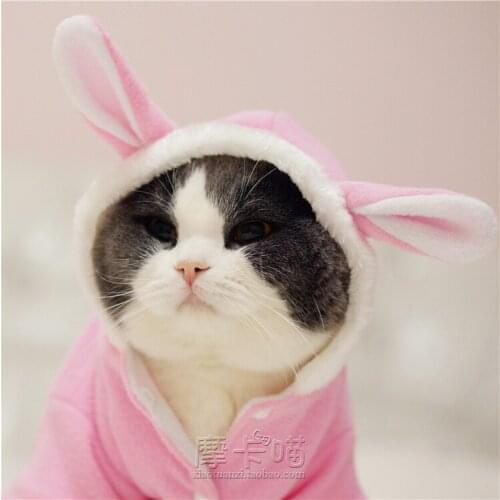 *Moka meow* pet clothes cat and dog clothes autumn and winter warm bunny transforms to sell cute cat clothes