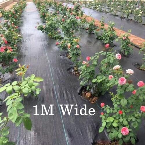 1M Wide 5m Length Agricultural Permeable Weeding Cloth Garden Anti Grass Cloth Greenhouse Weed Control Fabric Customize Size