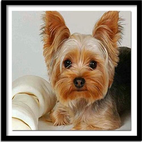 Full,Diamond Embroidery,Animal,Yorkshire Terrier Dog 5D,Diamond Painting,Cross Stitch,Diamond ,Needlework,Crafts,Christmas