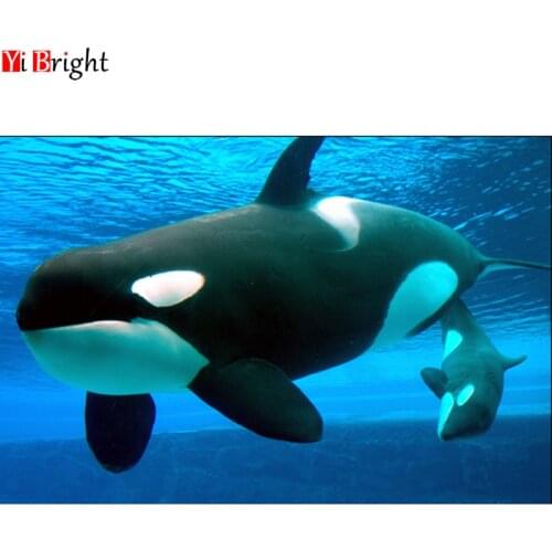 5D DIY Full Square Diamond Painting accessories animal Diamond Embroidery sale whale Rhinestone Picture Diamond Mosaic XY1