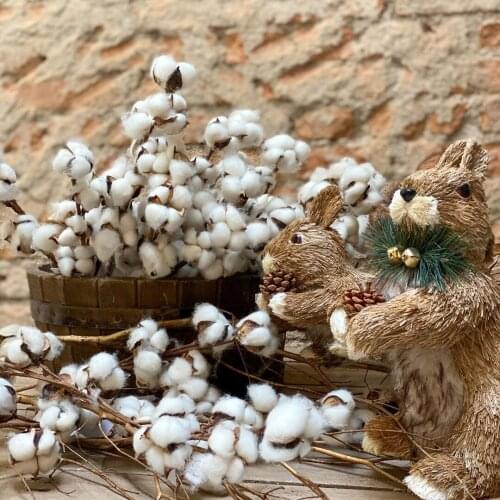 5PCS Natural Dried Cotton Flower Colorful Hand Made DIY Crafts Dried Pressed Flowers For Home Vases Wedding Party Decoration