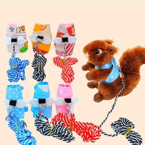 Small Pet Rabbit Harness Vest And Leash Set For Ferret Guinea Pig Bunny Hamster Puppy Bowknot Chest Strap Harness Pet Supplies