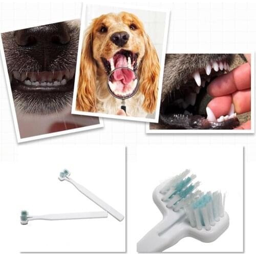 Double Heads Toothbrush For Pet Cat Teeth Brushing Multi-angle Cleaning Pet Breath Freshener Oral Care Toothbrush Supplies