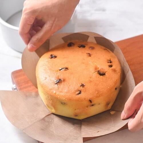 Non Stick Cake Tin Liner Cake Mat Mold for Baking Pan Sheet PTFE Liner Easy to Release Sheet Baking Pan Sheet Round Cake Mat
