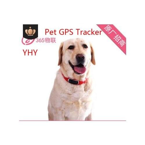 YHY 2019 NEW Waterproof and dust-proof pet collar GPS tracker Intelligent alarm Anti-theft and anti-theft Extra Standby Time