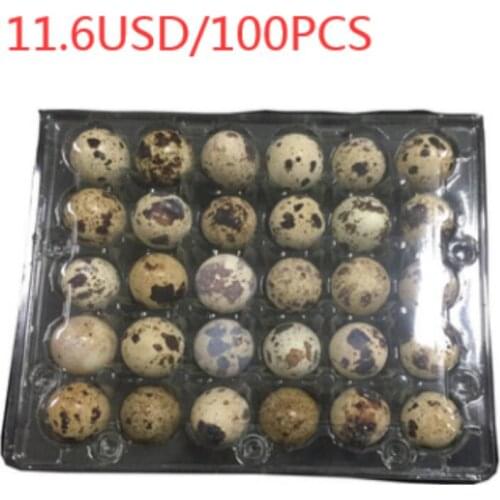 Quail egg packaging box 30 cells 5000 PCS
