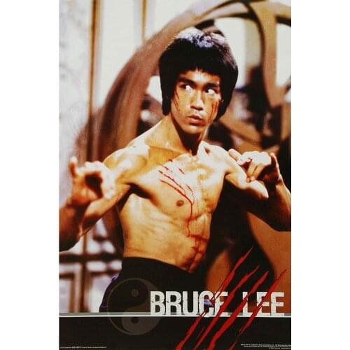 Bruce Lee Actor Founder of the Jeet Kune Do Style Art Film Print Silk Poster 24x36inch