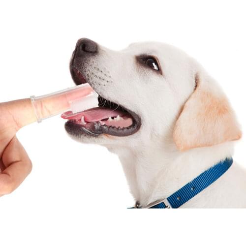 Small Narrow Cat Eye Sunglasses Women Luxury Brand Designer Personlity Fashion Vintage UV400 Butterfly Shape Ladies Eyeglasses