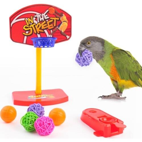 Funny Parrot Birds Toys Mini Basketball Hoop Basket Feste Shoot Toys for Parrot Intelligence Puzzle Game Chew Toys Pet Supplies
