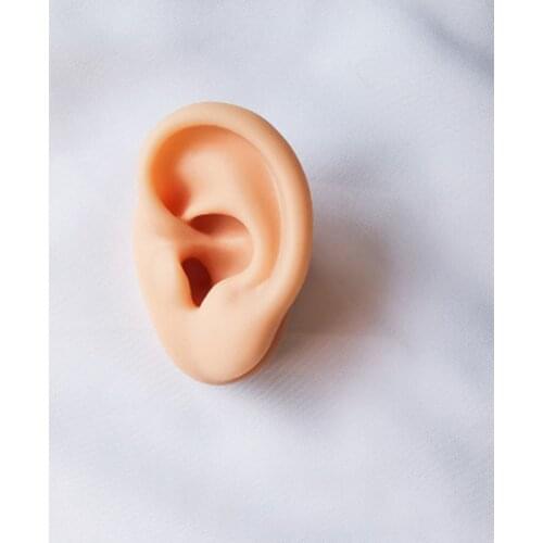 Silicone Ear Model Artificial Human Ear Display For Hearing Earphones Practice Piercing Shop Window Showing Body Jewelry