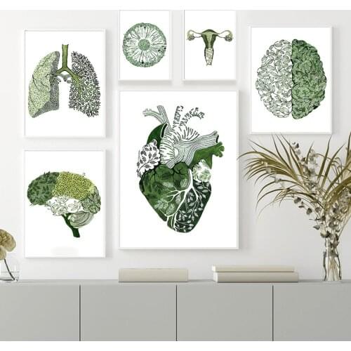Abstract Plant Art Organs Anatomy Wall Art Canvas Painting Nordic Posters And Prints Wall Pictures For Doctor Office Decoration