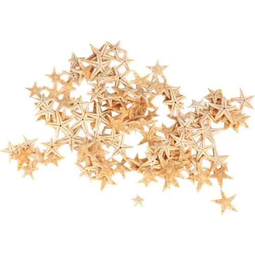 90 Pcs Small Starfish Star Sea Shell Beach Craft 0.4 inch-1.2 inch Natural real starfish