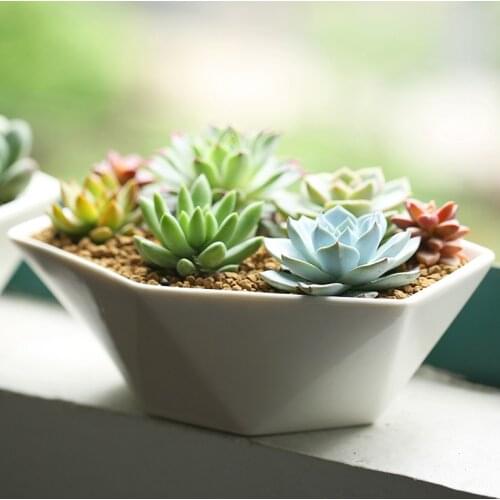 Garden supplies middle garden flower pots planters ceramic geometric office home decorative green plant pots desktop 198*70mm