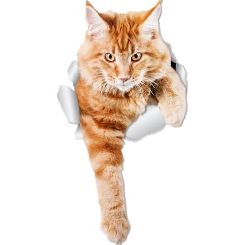 S41031# Various Sizes Funny Self-Adhesive Decal Climbing Ginger CAT Car Sticker Waterproof Auto Decors on Bumper Rear Window