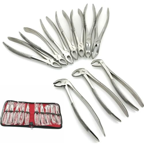 10PCS Stainless Steel Dental Extraction Forceps Adults Teeth Extracting Pliers Surgical Toothdental Instrument With Storage Bag